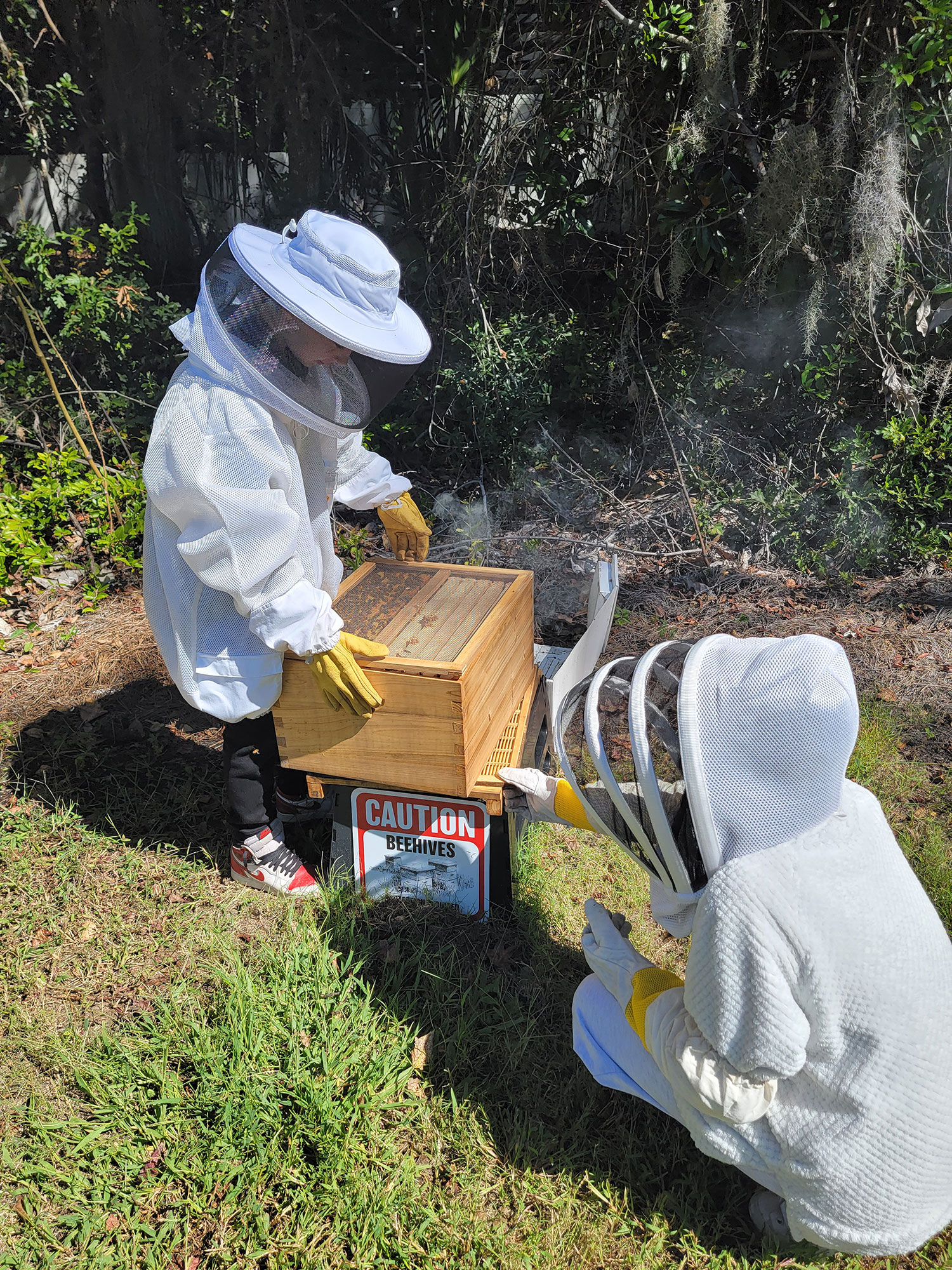 bees2