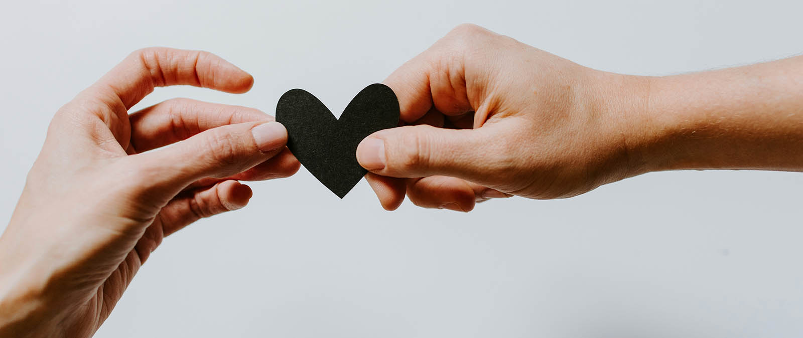 kelly-sikkema-4le7k9XVYjE-unsplash